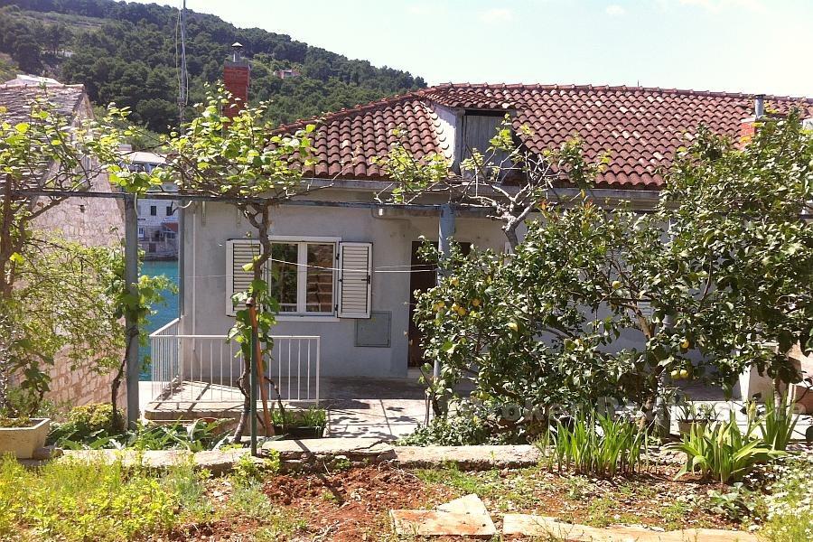 Wyspa Solta, bliźniak przy morzu