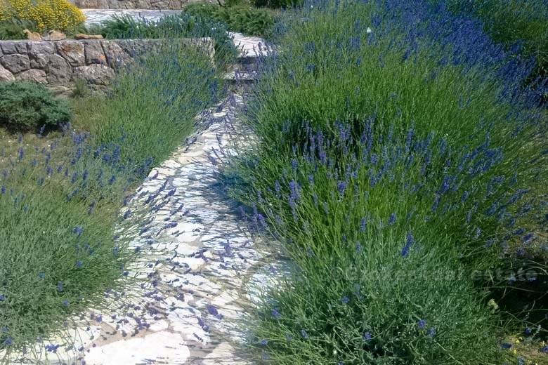 Bei Karlobag, schöne Wohnung