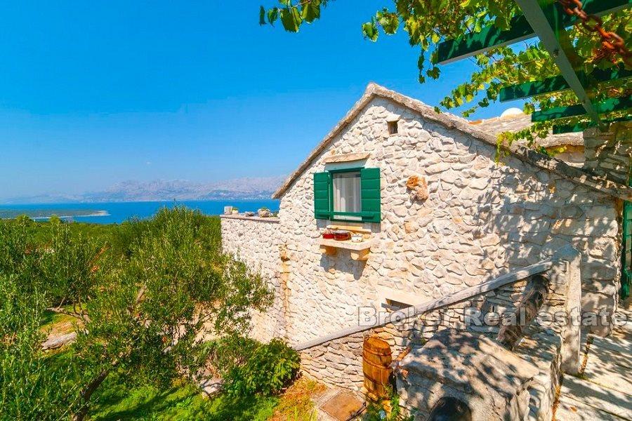 Brac - Steinhaus mit Olivenhain und Meerblick