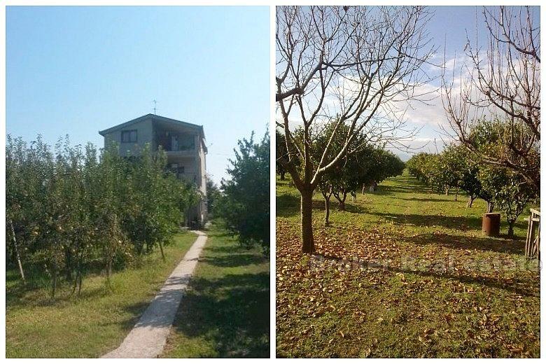 Opuzen - Hus i Neretva-dalen