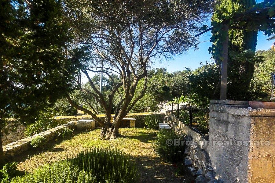Island of Losinj, renovated stone house by the sea