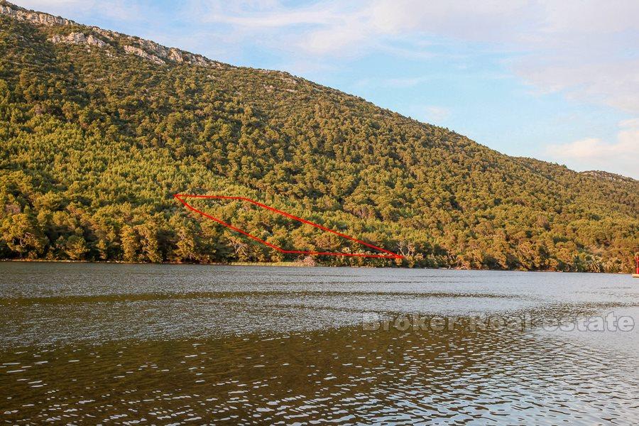 Peljesac, terreno edificabile sul mare