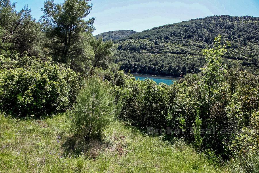 Peljesac, terreno edificabile sul mare
