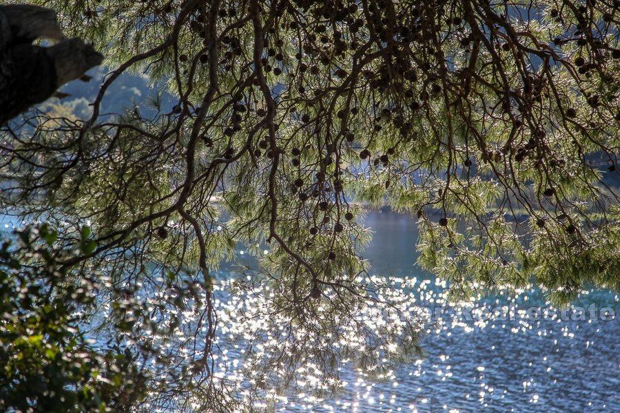 Peljesac, terreno edificabile sul mare