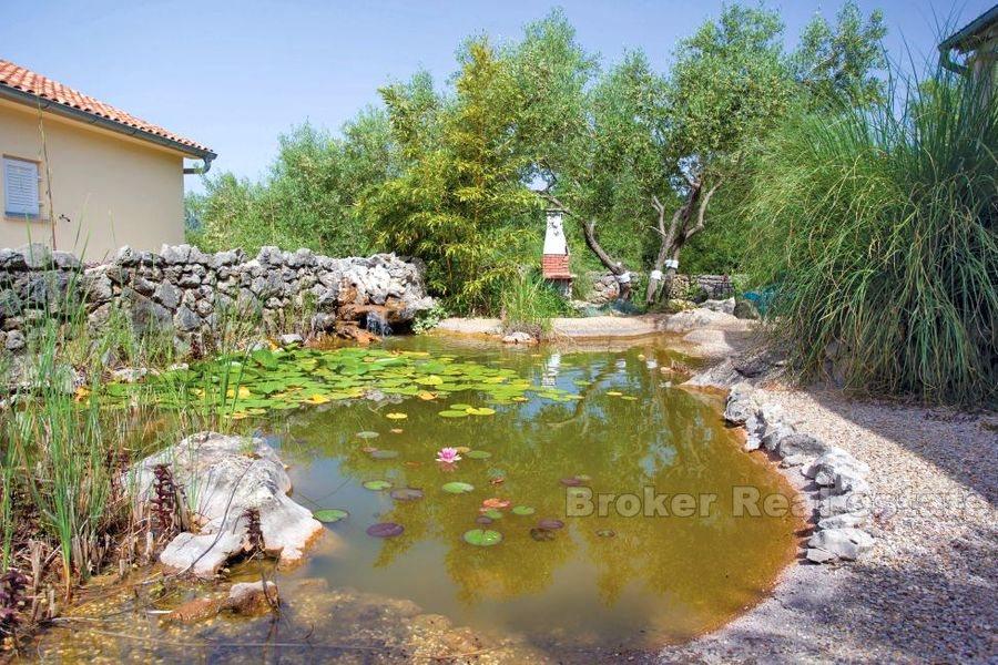 Øya Krk, hus i et rolig sted