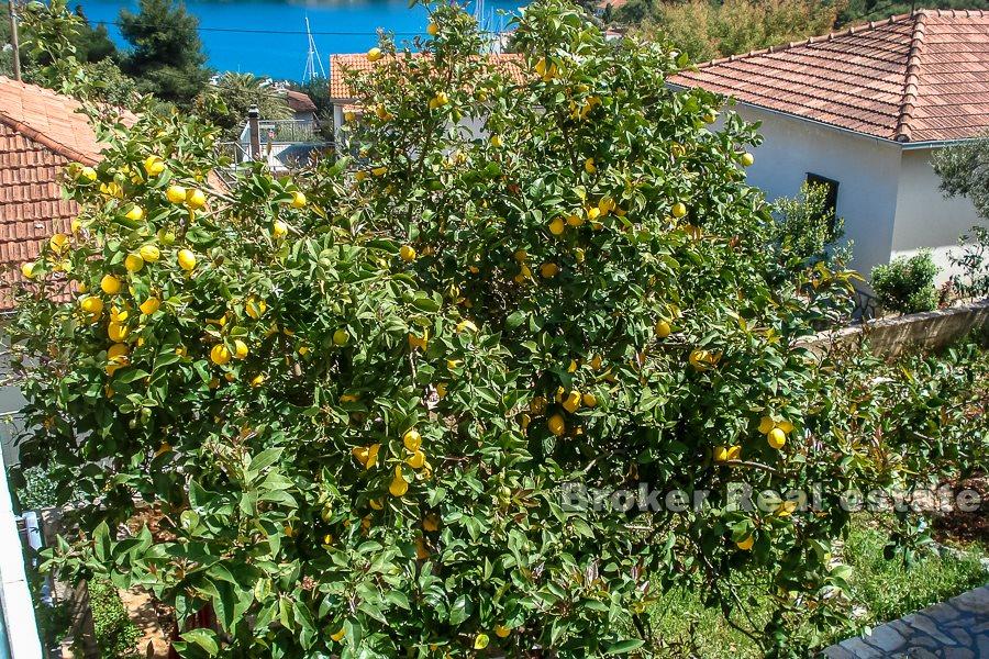 Isola di Solta, casa indipendente su due piani