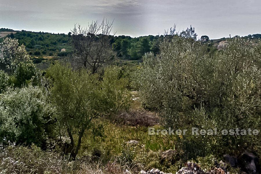 Ostrov Vis, dvojdomek a zemědělská půda