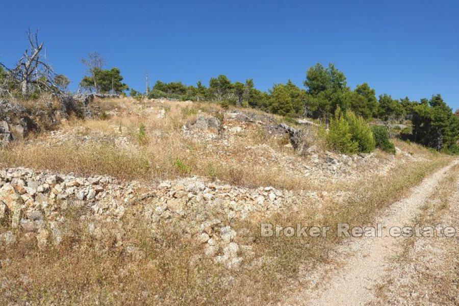 Isola di Brac, terreno agricolo sul mare