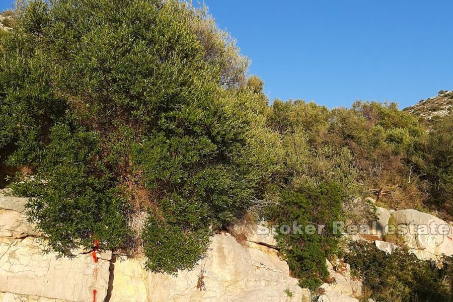 Isola di Lastovo - terreno edificabile con vista mare