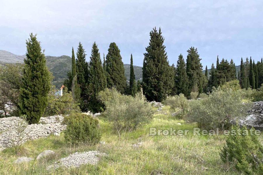 Dubrovnik - Byggnadsland med havsutsikt