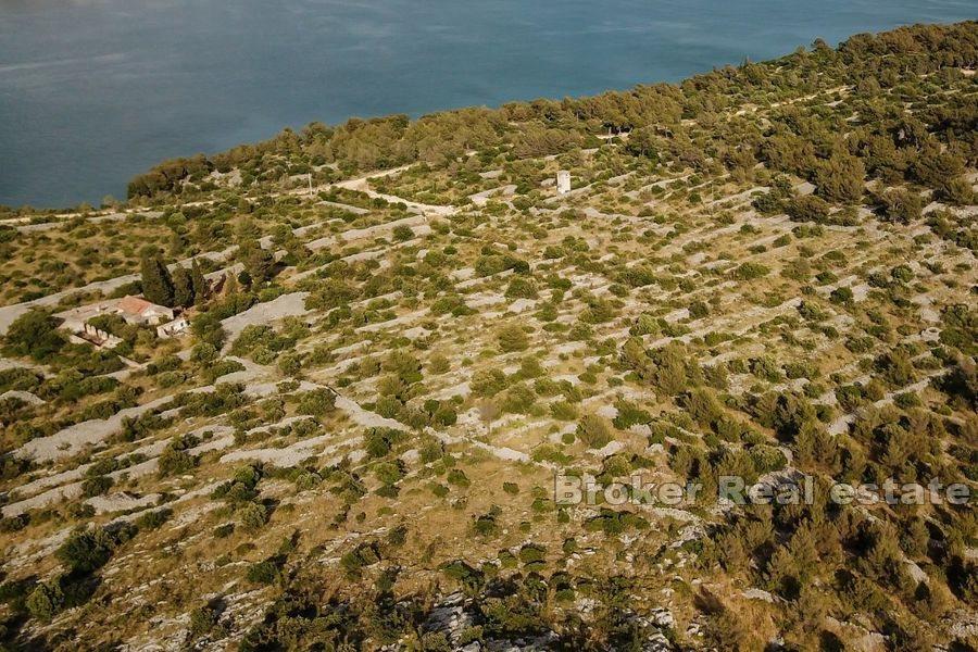 Sibenik - Grand terrain avec ruine et vue mer