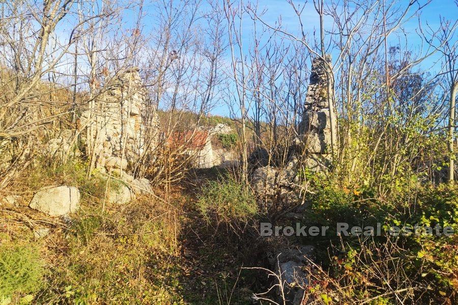 In der Nähe von Split - Dalmatinische Ferienhäuser auf einem großen Grundstück