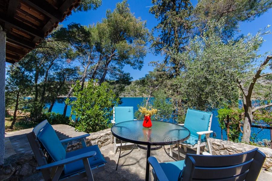 Wyspa Brac, bliźniak przy morzu