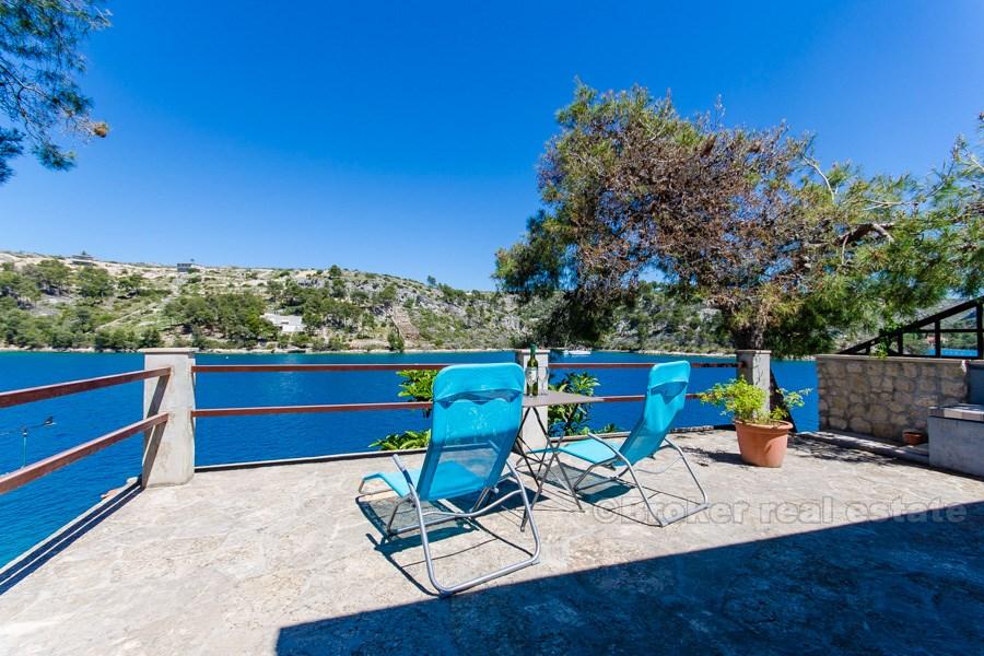 Wyspa Brac, bliźniak przy morzu