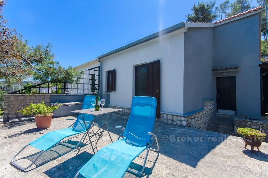 Wyspa Brac, bliźniak przy morzu