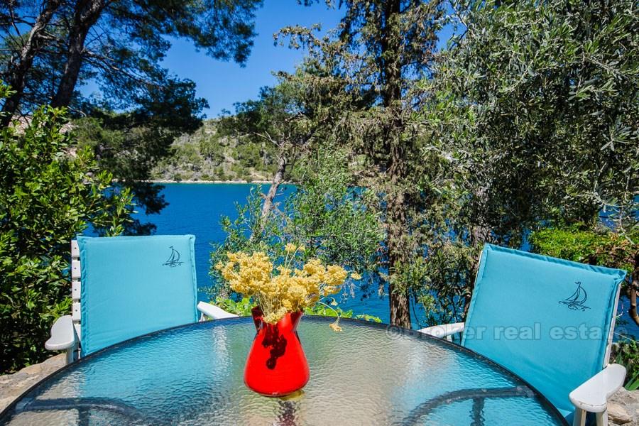 Wyspa Brac, bliźniak przy morzu