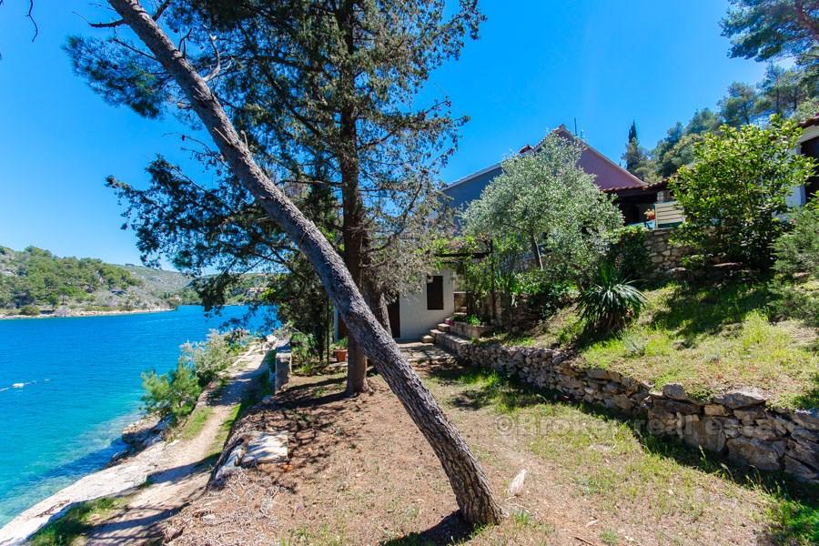 Wyspa Brac, bliźniak przy morzu