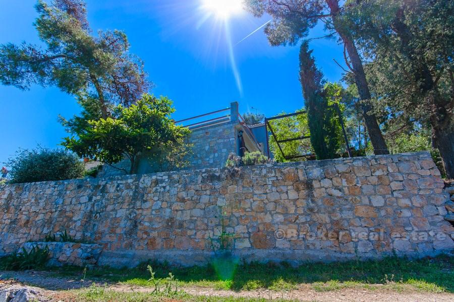 Wyspa Brac, bliźniak przy morzu