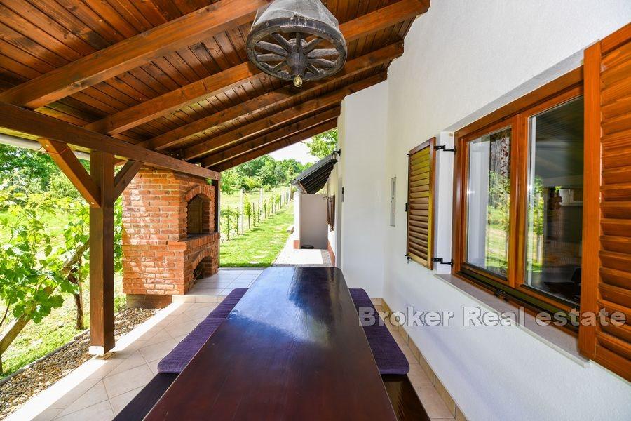 Varaždin - Haus mit Weinberg