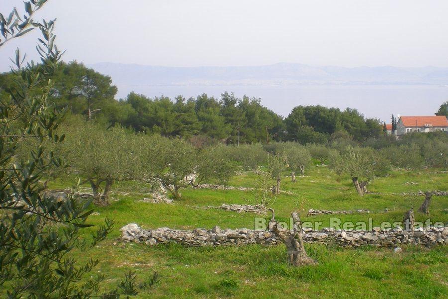 Ostrov Brač - Stavební pozemek s výhledem na otevřené moře