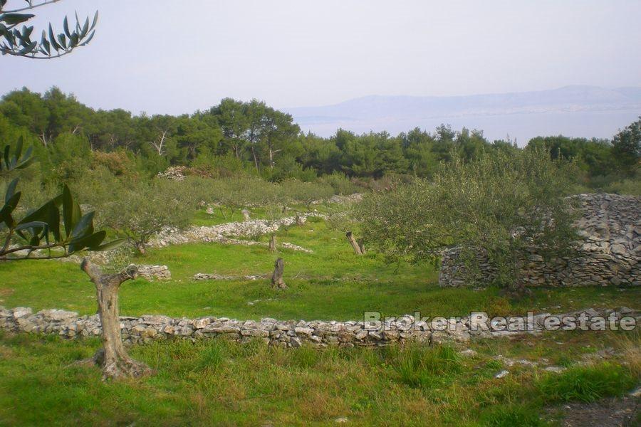 Ostrov Brač - Stavební pozemek s výhledem na otevřené moře