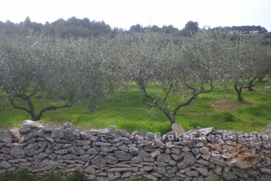 Ostrov Brač - Stavební pozemek s výhledem na otevřené moře