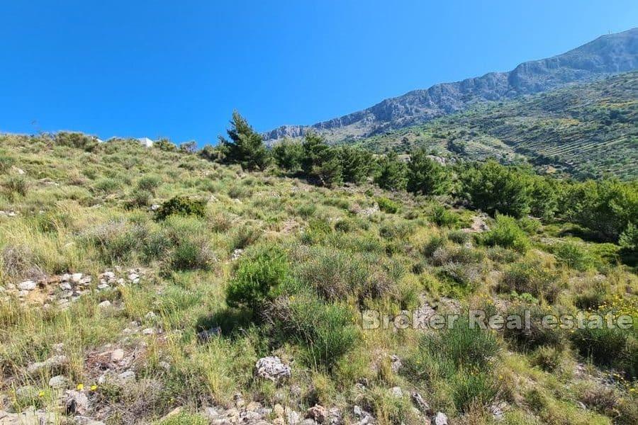 Omis - Działka budowlana z widokiem na otwarte morze