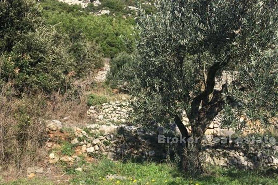 Île de Mljet - Terrain à bâtir dans un endroit attrayant