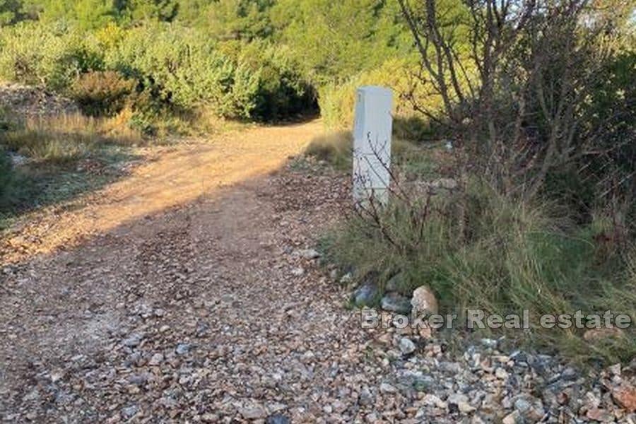 Wyspa Brac - gaj oliwny z otwartym widokiem na morze