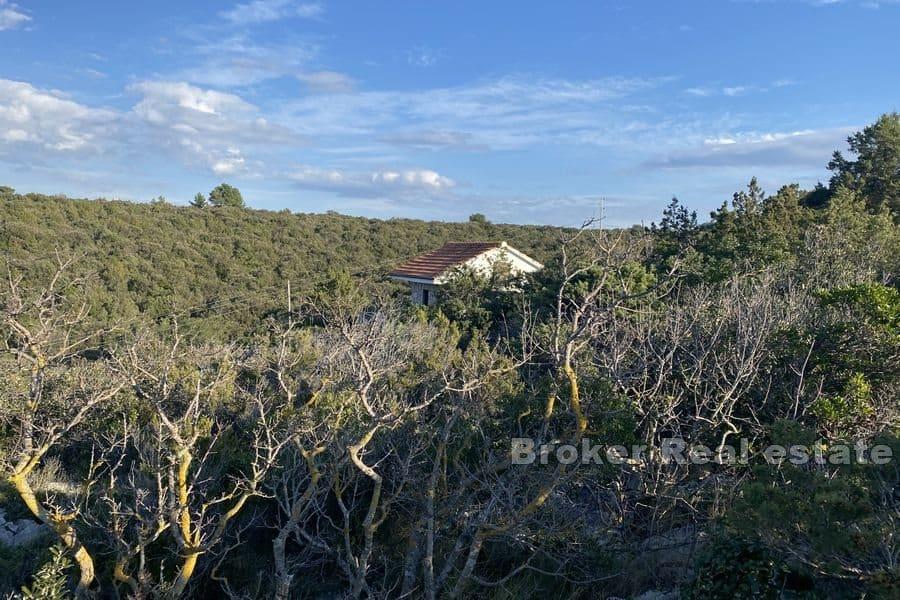 Wyspa Hvar - Grunty rolne z otwartym widokiem na morze