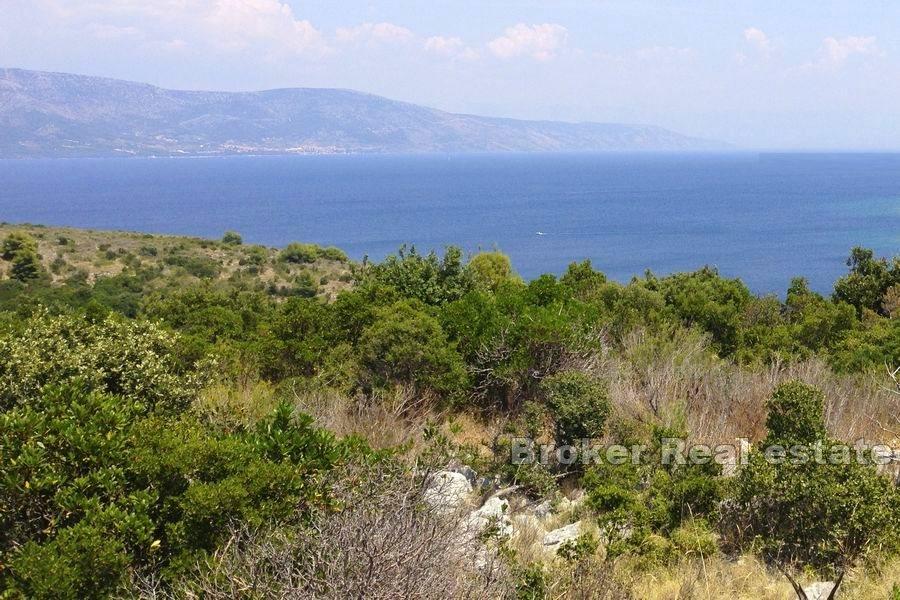 Ostrov Hvar - Zemědělský pozemek ve druhé řadě k moři