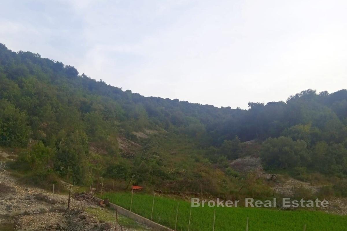 Øya Brač - Landbrukseiendom