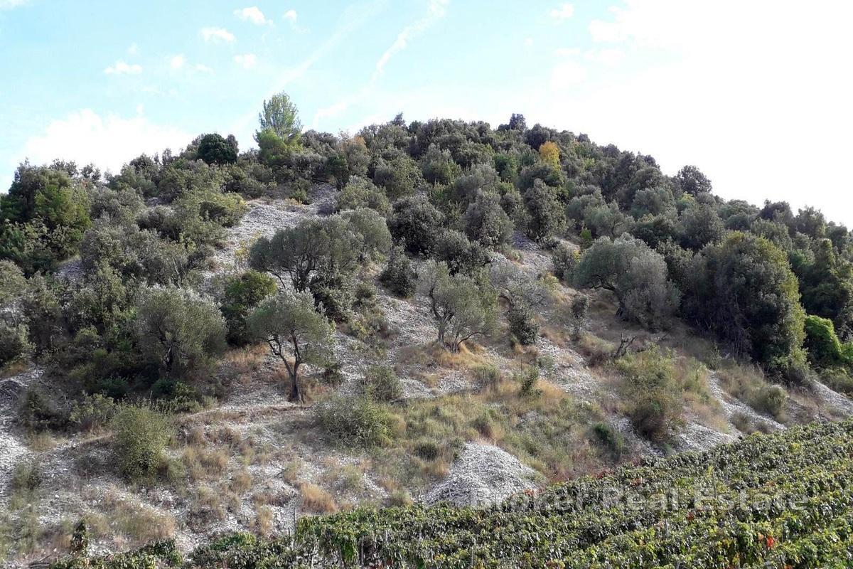 Øya Brač - Landbrukseiendom