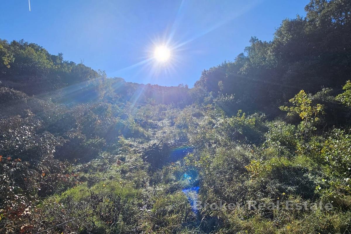 Øya Brač - Landbrukseiendom