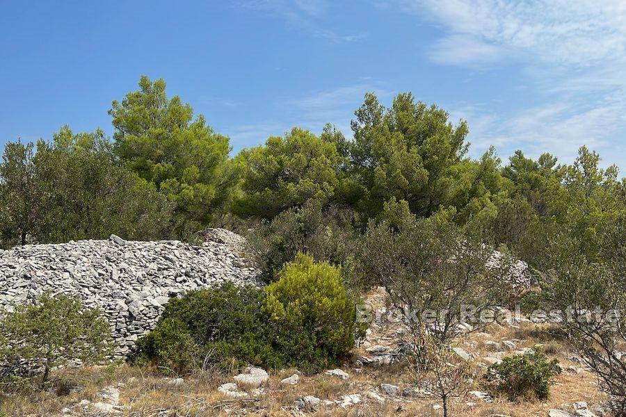 Ostrov Brač - Velká země v blízkosti moře