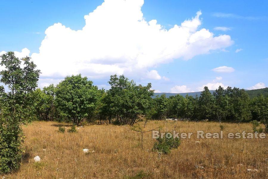 U Splitu - Velká zemědělská půda