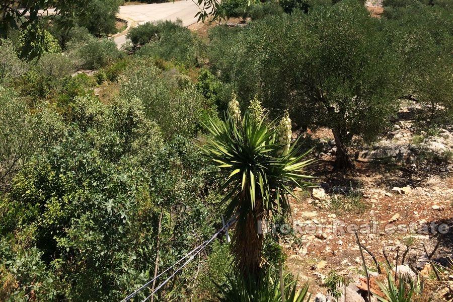 Peljesac - Byggeland med utsikt over havet