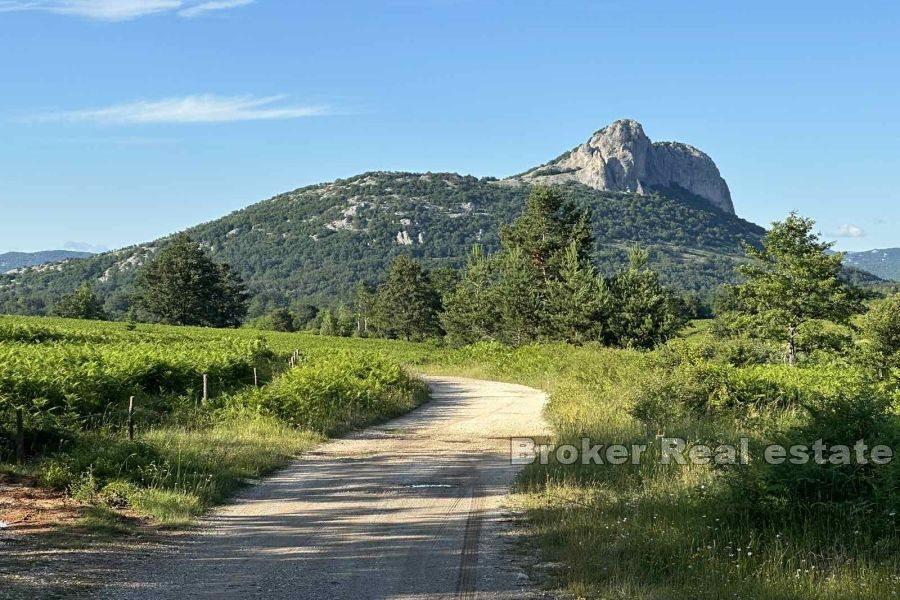 Gospić - Grand, spacieux et beau terrain