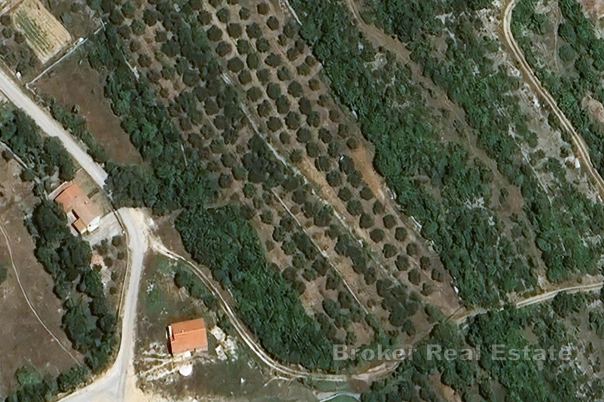 Terrain à bâtir dans un endroit calme