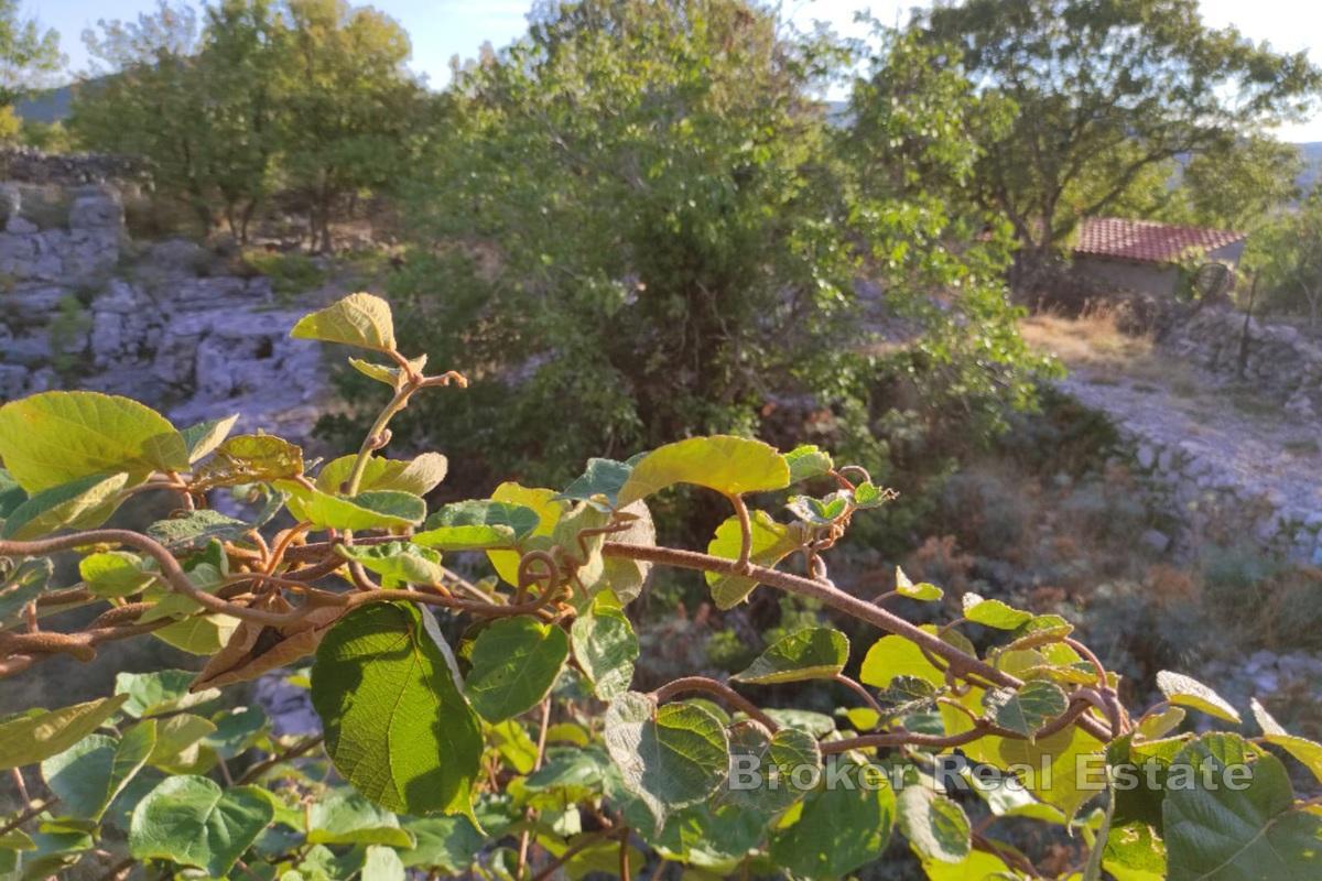 Terrain à bâtir dans un village insulaire calme