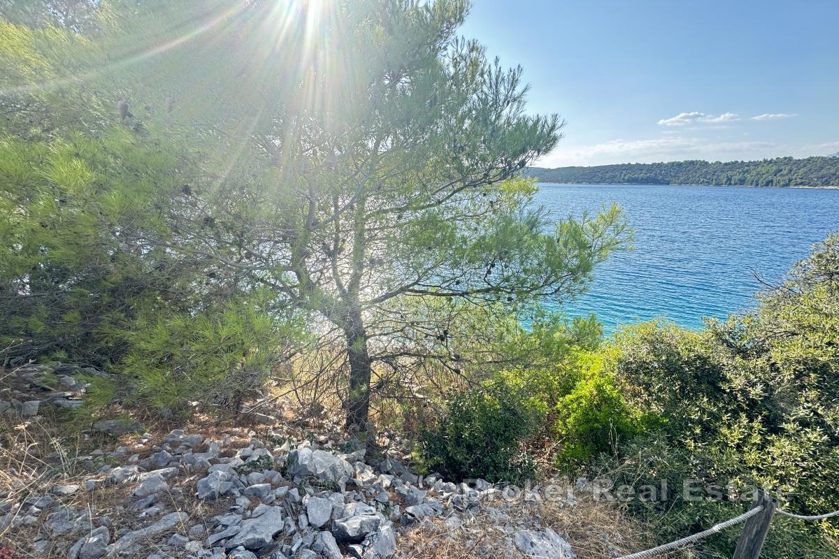 Działka rolna w atrakcyjnej lokalizacji