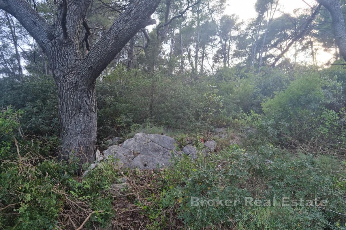 Private Insel inmitten unberührter Natur