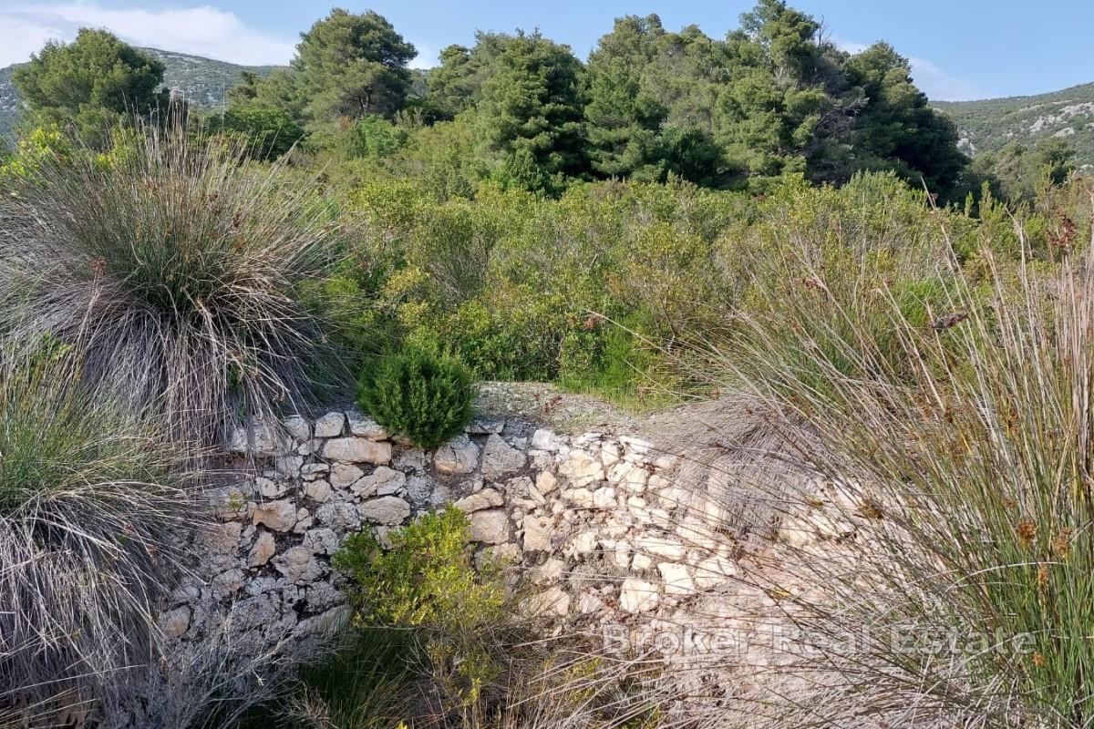 Isola privata immersa nella natura incontaminata