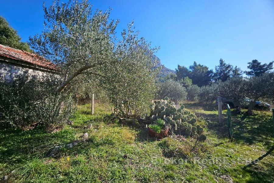 Attraktives Grundstück in Meeresnähe