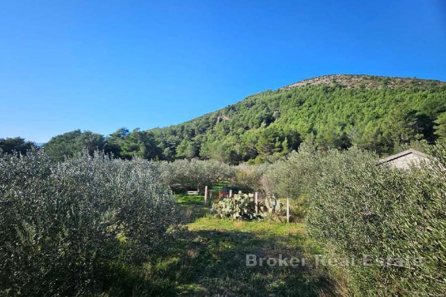 Attraktives Grundstück in Meeresnähe