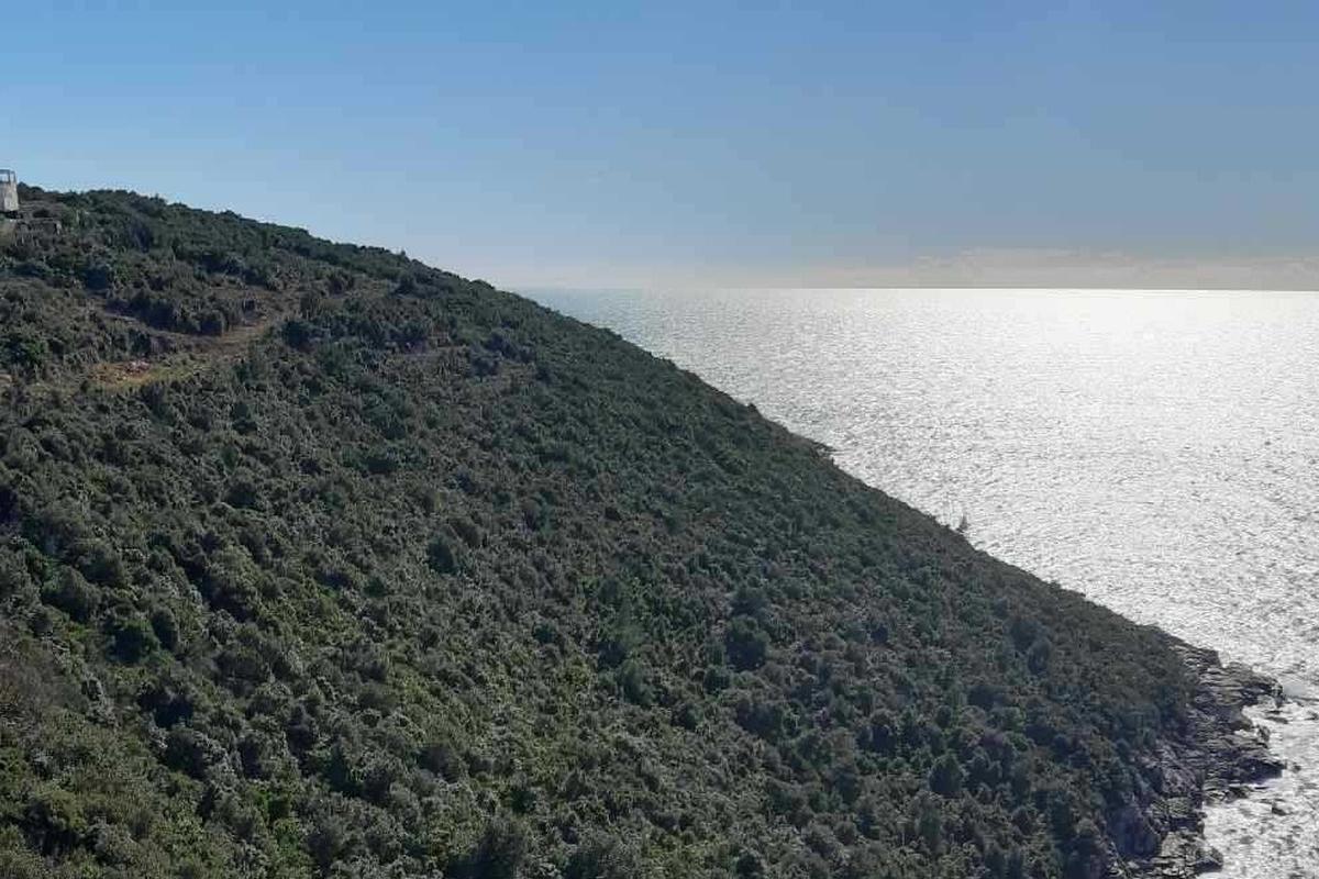 Terrain attractif en bord de mer offrant un excellent potentiel d'investissement