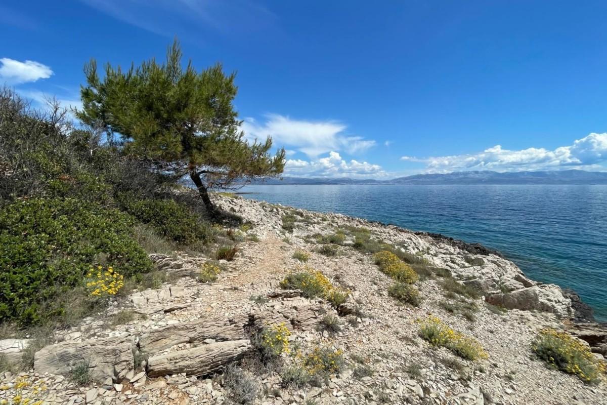 Terrain constructible en bord de mer