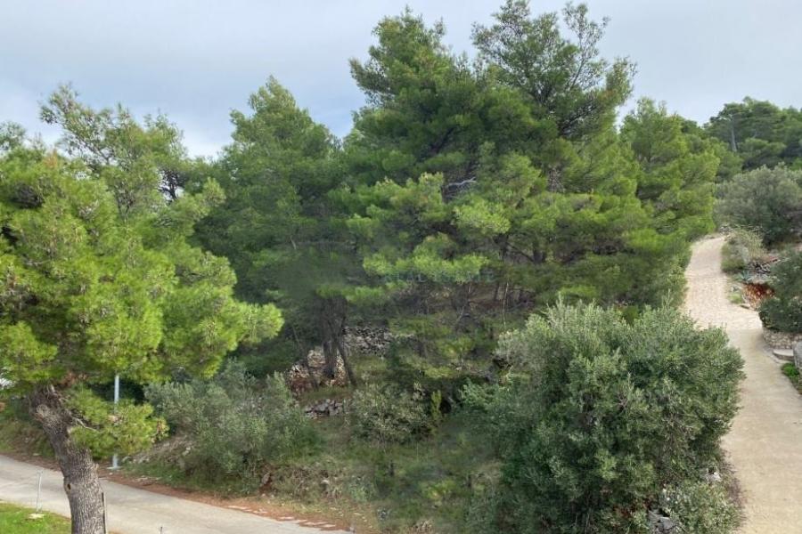 Terrain constructible attrayant près de la mer