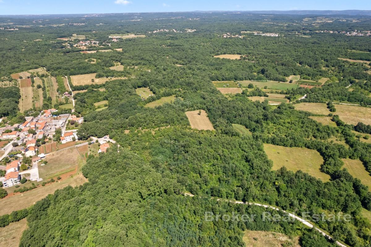 Terreno edificabile nell'entroterra tranquillo dell'Istria