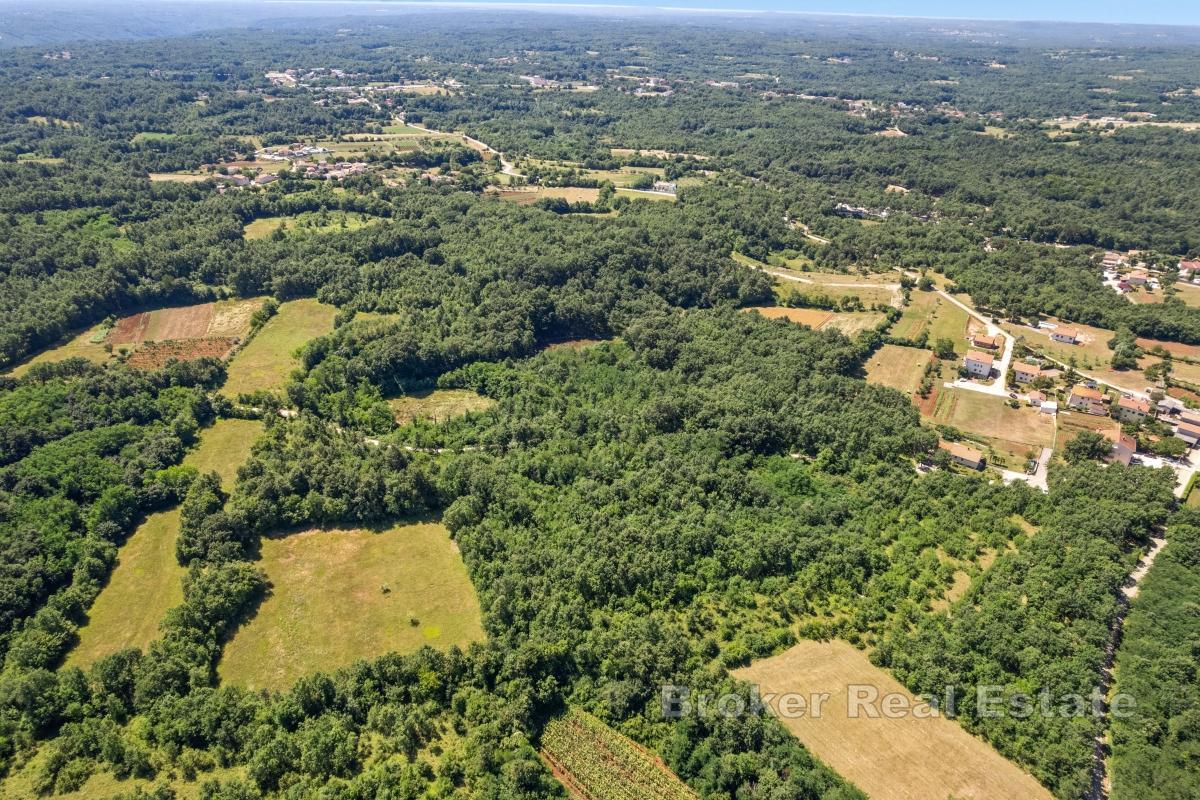 Terreno edificabile nell'entroterra tranquillo dell'Istria